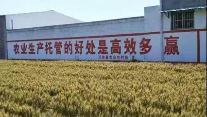 農(nóng)業(yè)托管模式再啟新篇 45億補貼落地，六成紅利直抵農(nóng)民腰包